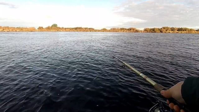 Рыбалка с Кисой на р. Ловать смотреть онлайн