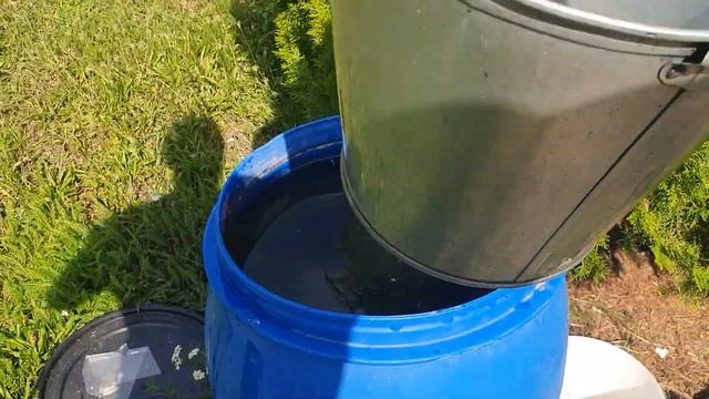 Знали? Кинул Листик и огурцов море. Подкормка огурцов смотреть онлайн
