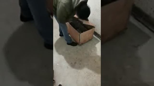 Отчёт о получении токарного станка wm210v-400 (Фидан, г.Уфа) смотреть онлайн