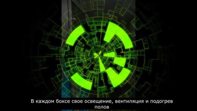 Зоогостиница в Чертаново. смотреть онлайн