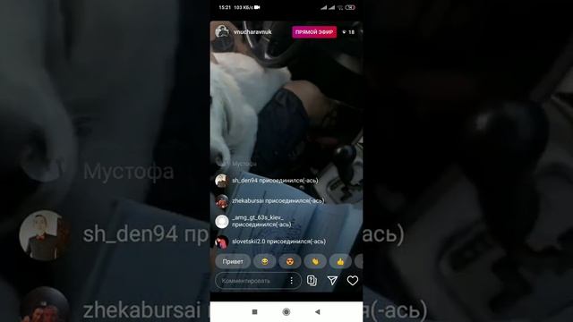 Vnuk / Трансляция / Выбираем кличку собаке