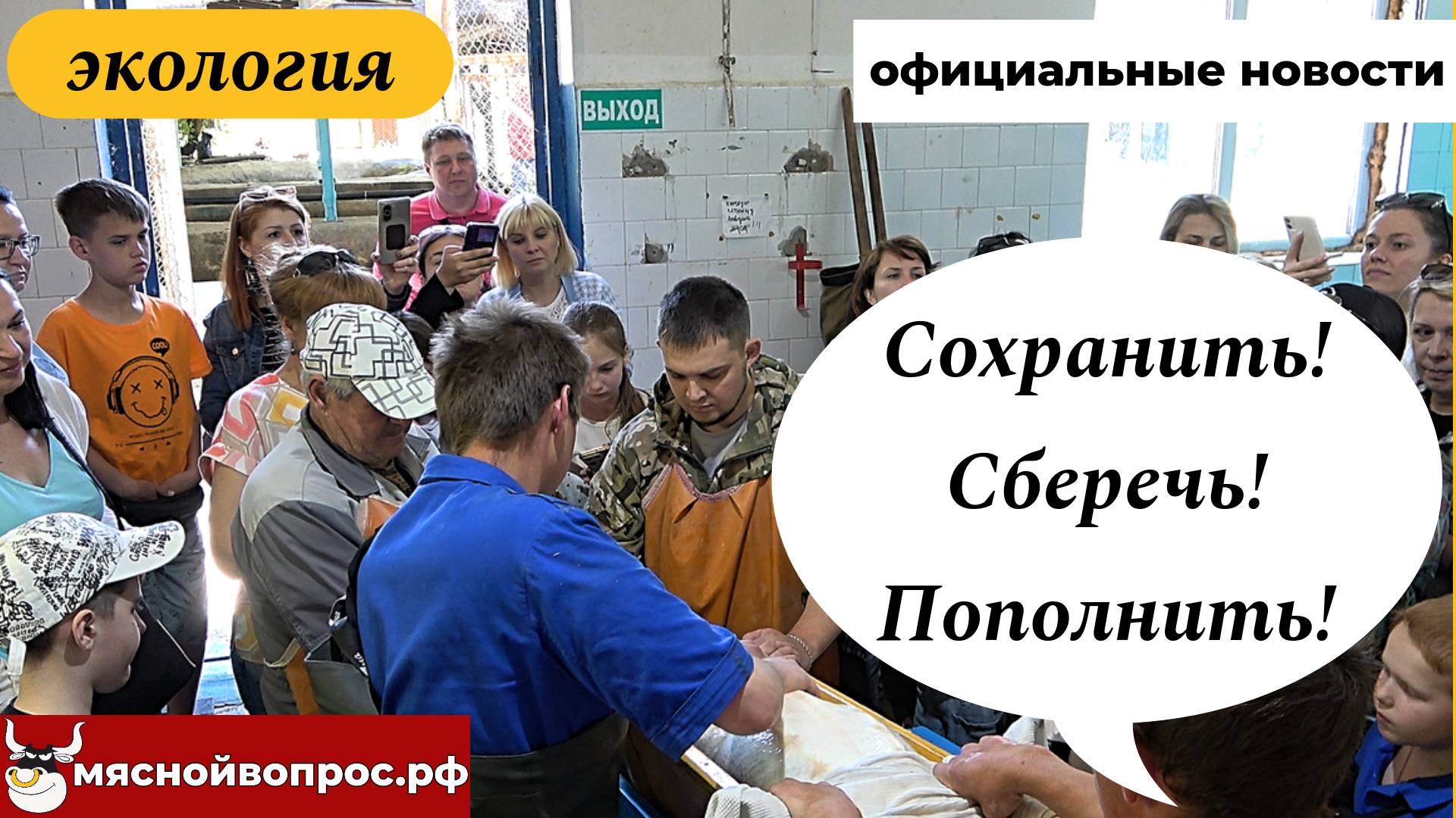 Как помочь осетрам? смотреть онлайн