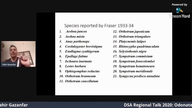 DragonflySouthAsia Regional Language Talk 2020 смотреть онлайн