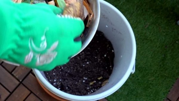 How to Compost on a Balcony | Kitchen and Garden Waste Compost