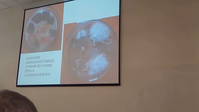 Болезни зерновых часть 3 смотреть онлайн