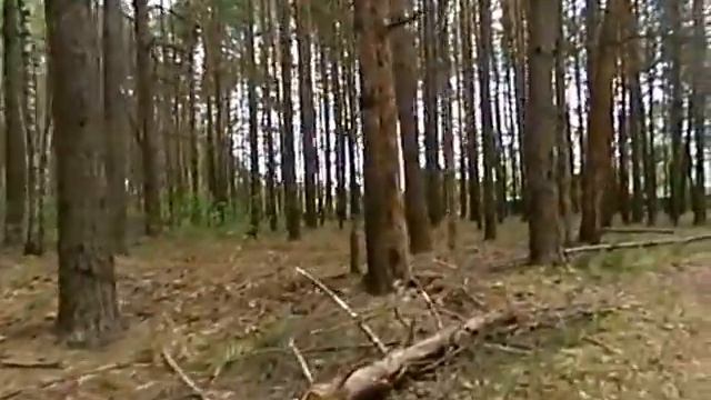 д. Исаевская Егорьевского района МО смотреть онлайн