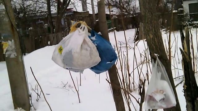 КОГДА НЕТ МУСОРНОГО БАКА возле дома смотреть онлайн