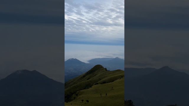 sabana gunung merbabu #mountains #merbabu #pendaki #sunrise смотреть онлайн