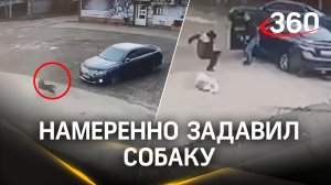 Автомобилист на Тойоте задавил насмерть собаку и устроил драку под Иркутском