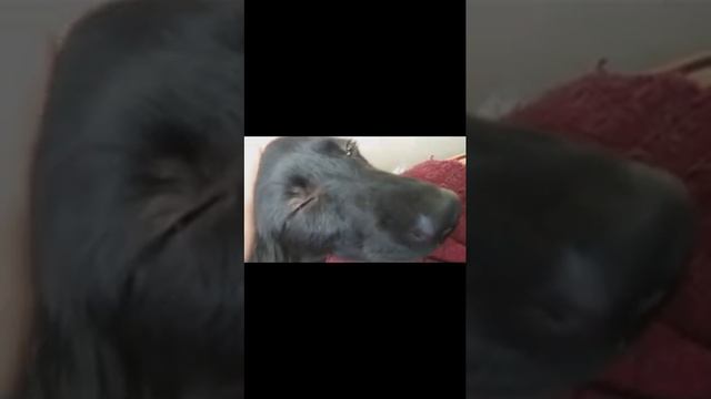 Он меня не отпускает. / Что делать?/😍 смотреть онлайн