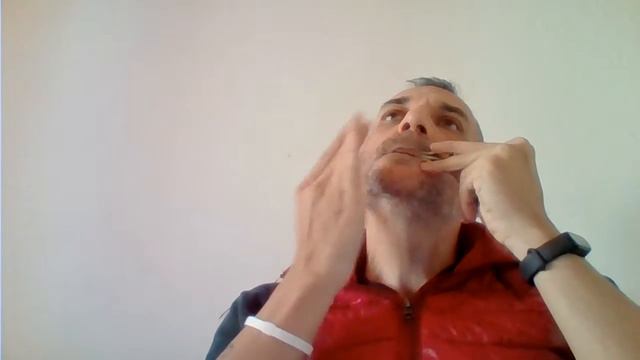 Oh! Susanna (Jew's harp mix) смотреть онлайн