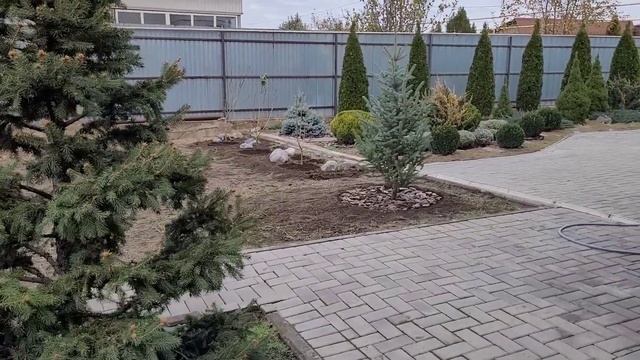 Ландшафтный дизайн сада. Посадка ели. смотреть онлайн