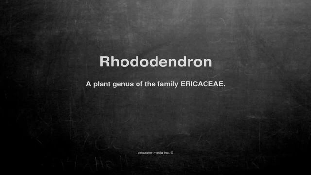 Medical vocabulary: What does Rhododendron mean смотреть онлайн