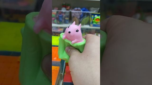 Суслик в дупле Антистресс тренд 2021 Фуфлик смотреть онлайн