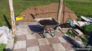 Клематисы "Невеста"/ как посадить клематисы