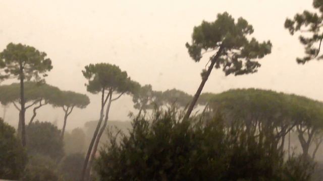 Такой бури я в жизни не видел! смотреть онлайн