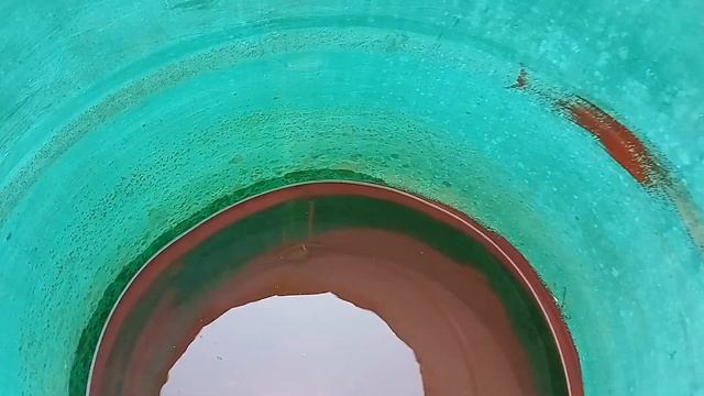 Свиноводство это малозатратный процесс. Что я сделал у поросят за 5 дней?  Свиноматка скоро загуляе