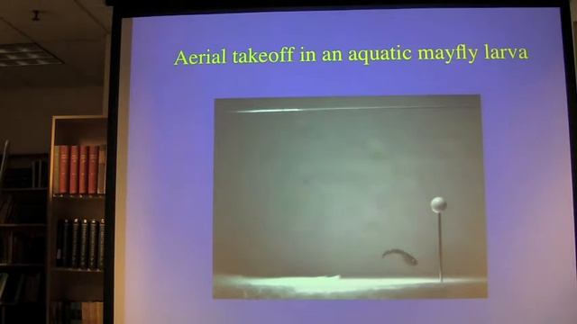 Robert Dudley-October 24, 2012 смотреть онлайн