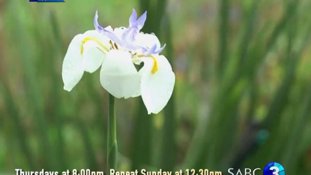 Top Billing features Alwijn Burger and his inspiring flower designs смотреть онлайн