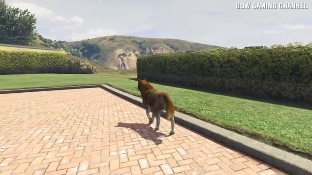 GTA 5 PEYOTE PLANT MISSION #24 UNLOCKING A HUSKY смотреть онлайн
