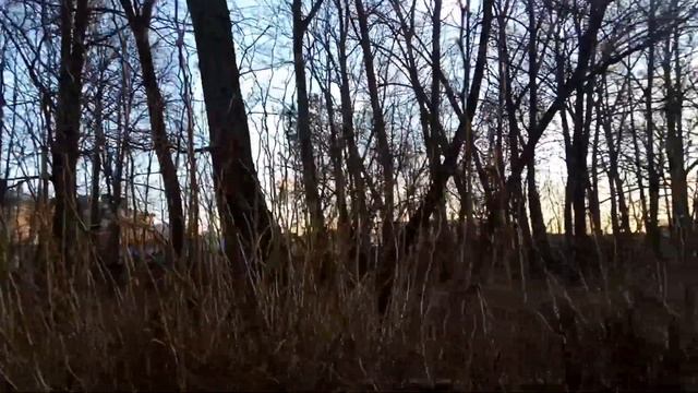 VID 20211122 1458450 У церковных берёз (Н. Рубцов)...Павел Васильев Лахтинский смотреть онлайн