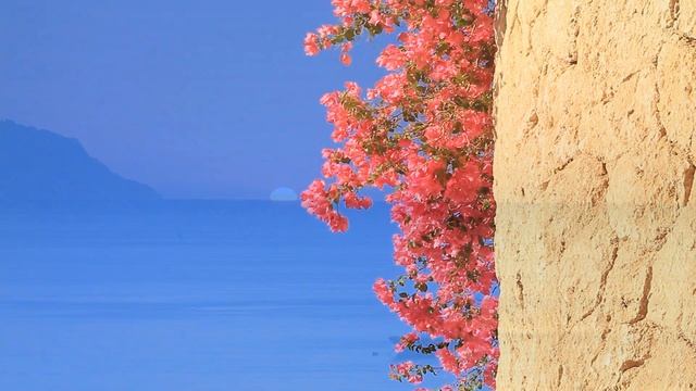 Egypt. Hilton Sharks bay. Red sea. Sharm-El-Sheikh. Египет. Отель Хилтон Шаркс бей смотреть онлайн