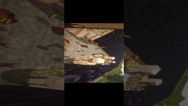 VID_20240210_184316.mp4