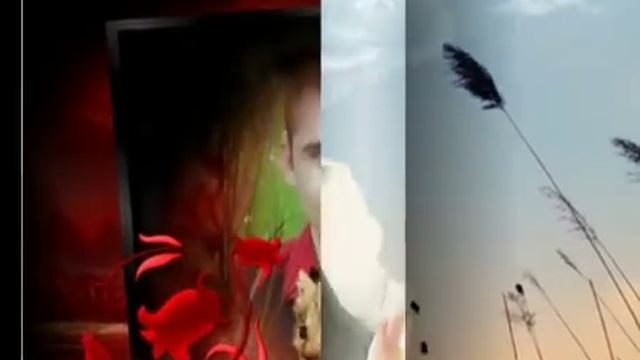 какой сюрприз сделать парню смотреть онлайн