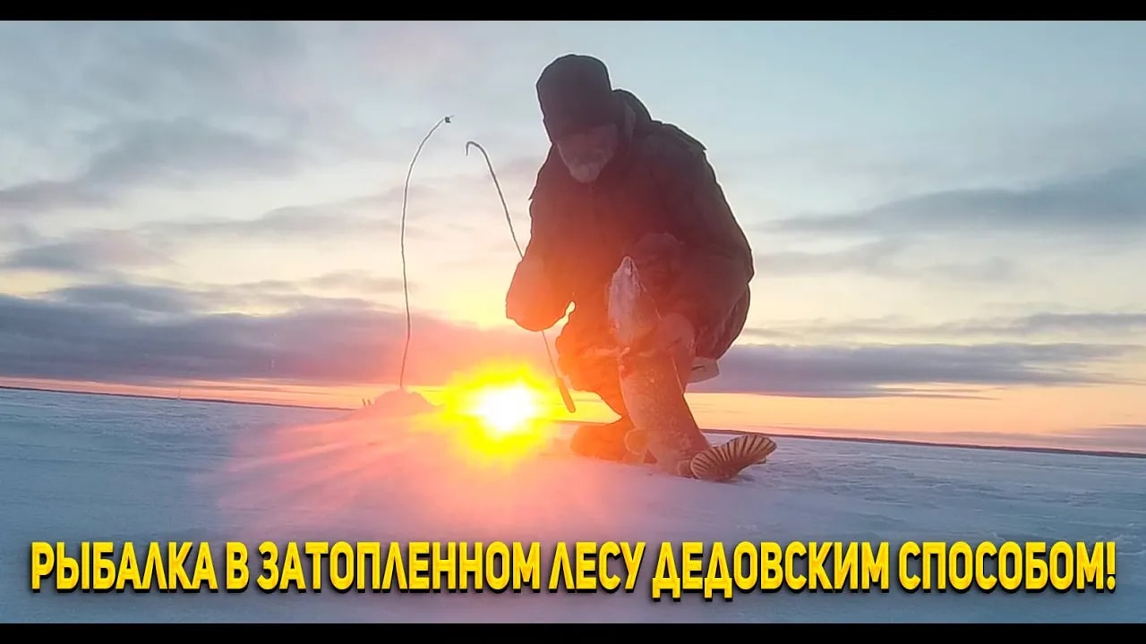 Рыбалка. Ловля щуки и судака на жерлицы (вицы). смотреть онлайн