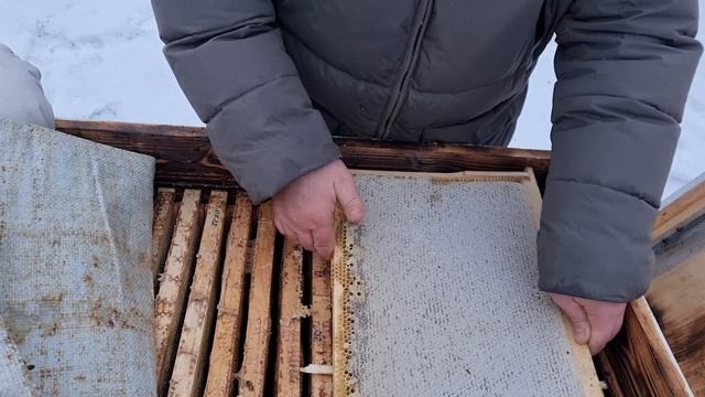 ❄ Зимовка пчел на улице 2022. Что сейчас важно сделать начинающему пчеловоду ❄ смотреть онлайн