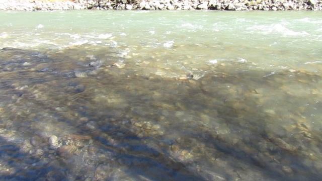 MVI_9175 смотреть онлайн