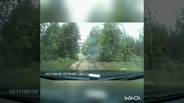 На duster по лесу. В конце бонус. смотреть онлайн