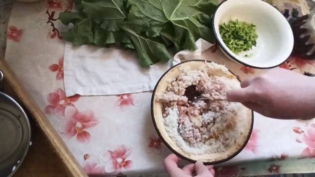 Шоу и Концерты