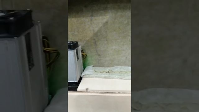 шумобокс под 5 асиков смотреть онлайн
