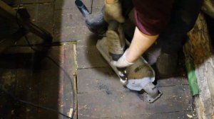 Трактор т 25 ТО Глушитель и выпускной коллектор (2022)