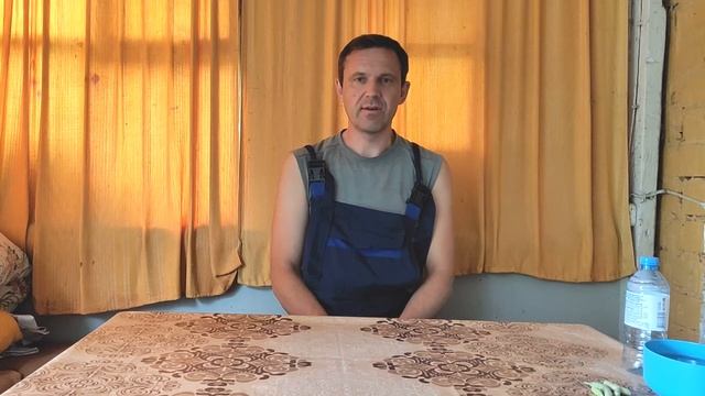 Хвойные растения на дачном участке. Туя Смарагд. Туя Даника. Туя Холмструп.