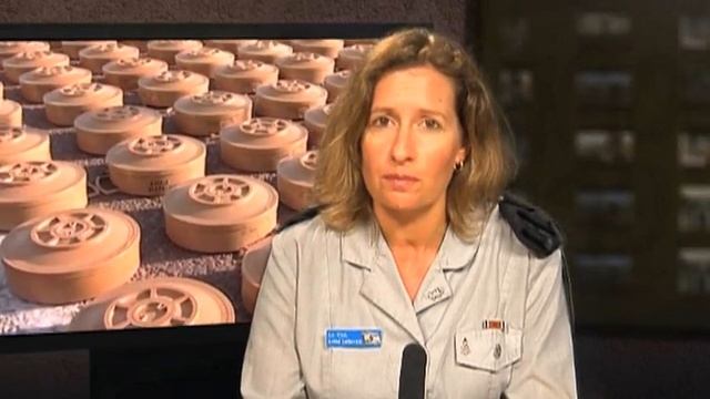 Lt. Col. Avital Leibovich: We cannot afford to outsource our security to the international communit смотреть онлайн