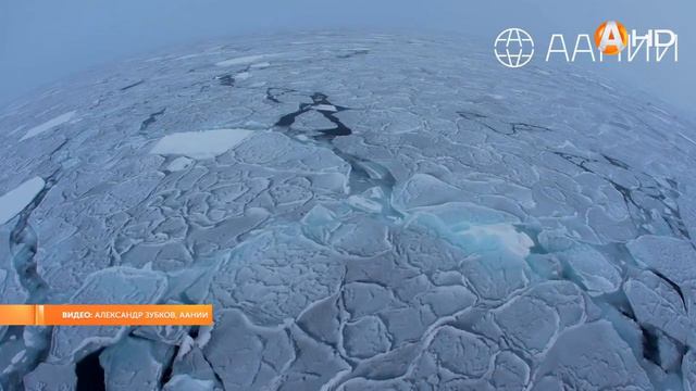 2125 морских миль и 365 дней работы российской дрейфующей полярной станции «Северный полюс 41» в Се смотреть онлайн