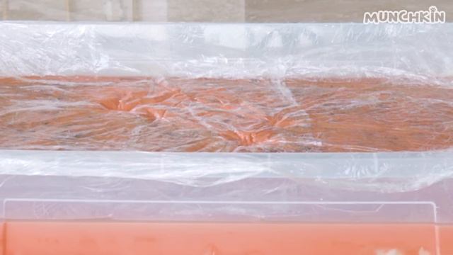 What Can't Cats Walk On? #3 смотреть онлайн