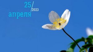25 АПРЕЛЯ 2023 ЧТО НЕЛЬЗЯ ДЕЛАТЬ,НАРОДНЫЕ ПРИМЕТЫ,ЧТО МОЖНО ДЕЛАТЬ