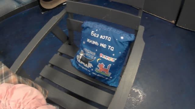 Котокафе РЕСПУБЛИКА КОТОВ смотреть онлайн