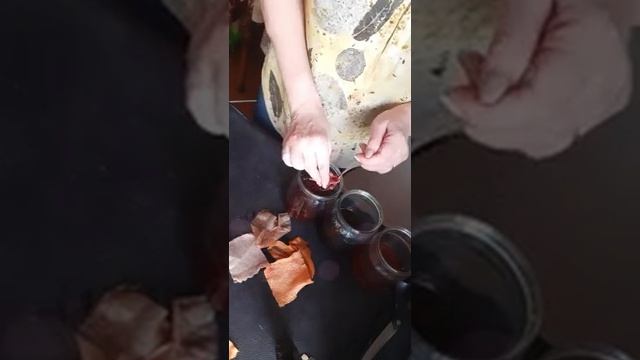 Прямой эфир: 50 оттенков корня марены смотреть онлайн
