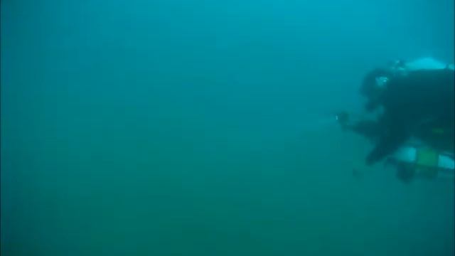 THE NEW DIVING RANGE смотреть онлайн