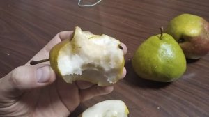 13 октября 2021. Дегустация груш, сорта Маисян и Новелла.