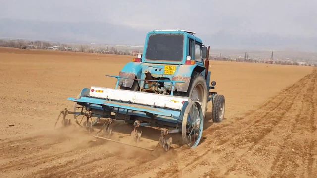 АВГУСТ ПИЁЗ УРУҒЛАРИ ҚАЧОН ЭКИЛАДИ ? смотреть онлайн