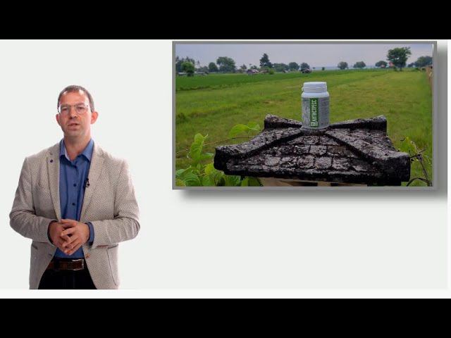 FORISE GROUP. АнтиСтресс - природный антидепрессант. Врач Рудин П.В. смотреть онлайн