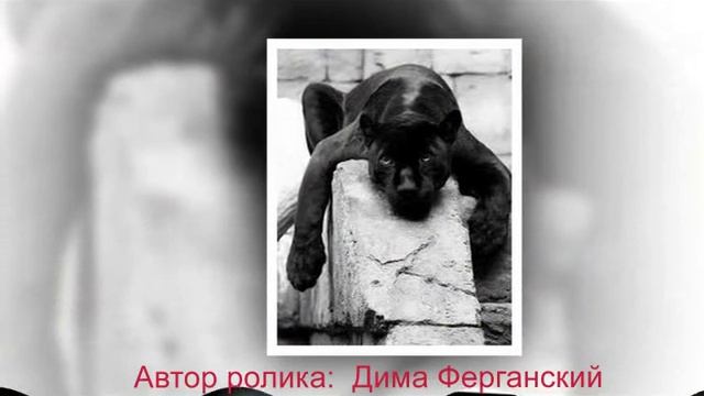 Любимая мне так тебя не хватает смотреть онлайн