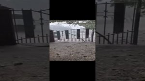 ❗Шторм с сильным градом в первый день лета прошёл на украинском Закарпатье.