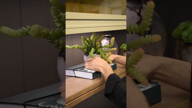 A cozinha para sua casa ! смотреть онлайн