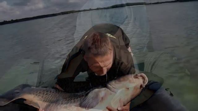 ОГРОМНЫЙ КАРП 35.5КГ! Поймал - Отпусти смотреть онлайн